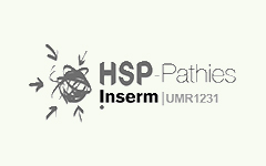 Logo de HSP Pathies